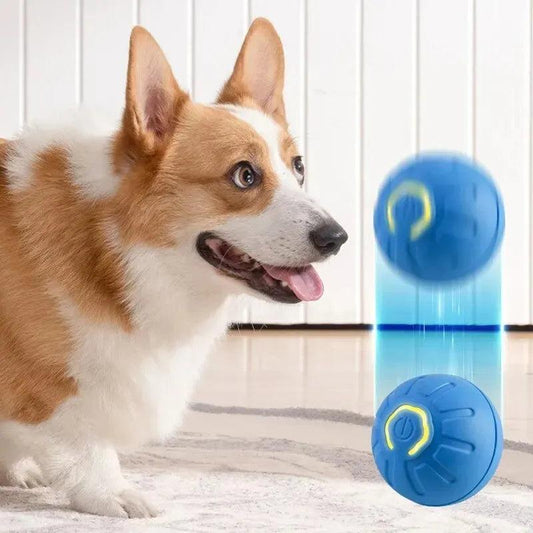 Smart USB Jumping Ball Toy - Pets is The Best