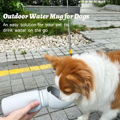 Folding Pet Water Dispenser - Pets is The Best