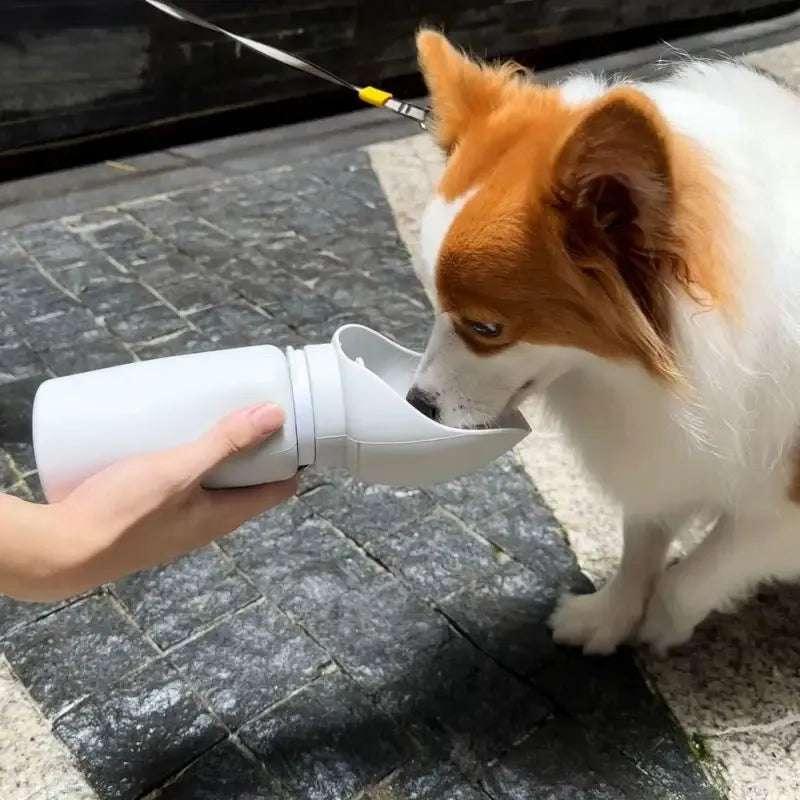 Folding Pet Water Dispenser - Pets is The Best