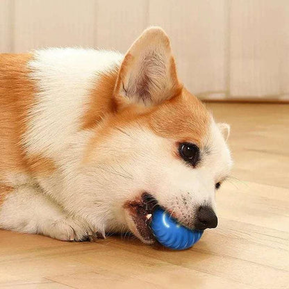 Smart USB Jumping Ball Toy - Pets is The Best