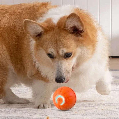 Smart USB Jumping Ball Toy - Pets is The Best