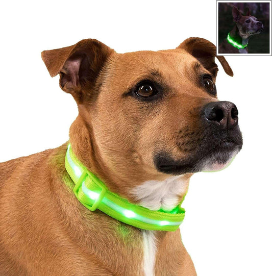 BLAZIN Brightest Light up Dog Collars - the Original LED Dog Collar with 1,000 Feet of Visibility - USB Rechargeable Waterproof Dog Collar Light - Dog Lights for Night Walking - USA Brand - Pets is The Best