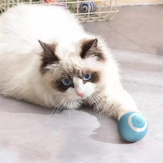 Magic Cat Ball Toy - Pets is The Best