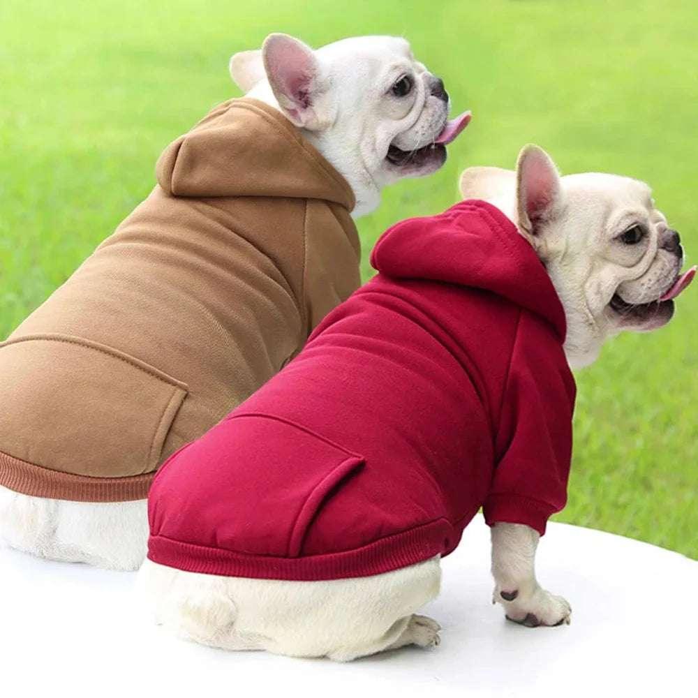 Cozy Dog Hooded Sweatshirt - Pets is The Best